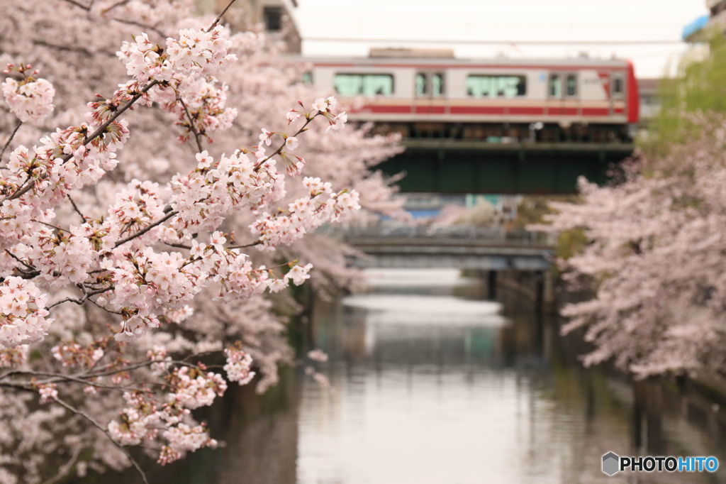 春風景2016 ⅰ