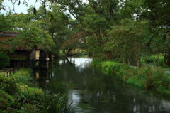 原風景　2012　秋
