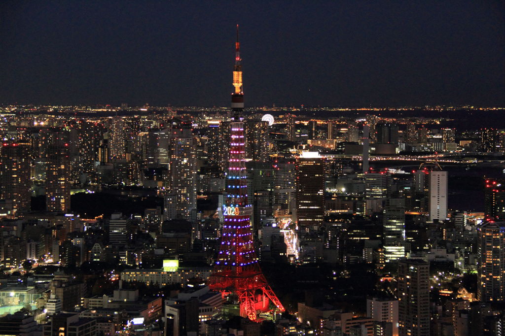 TOKYO Night