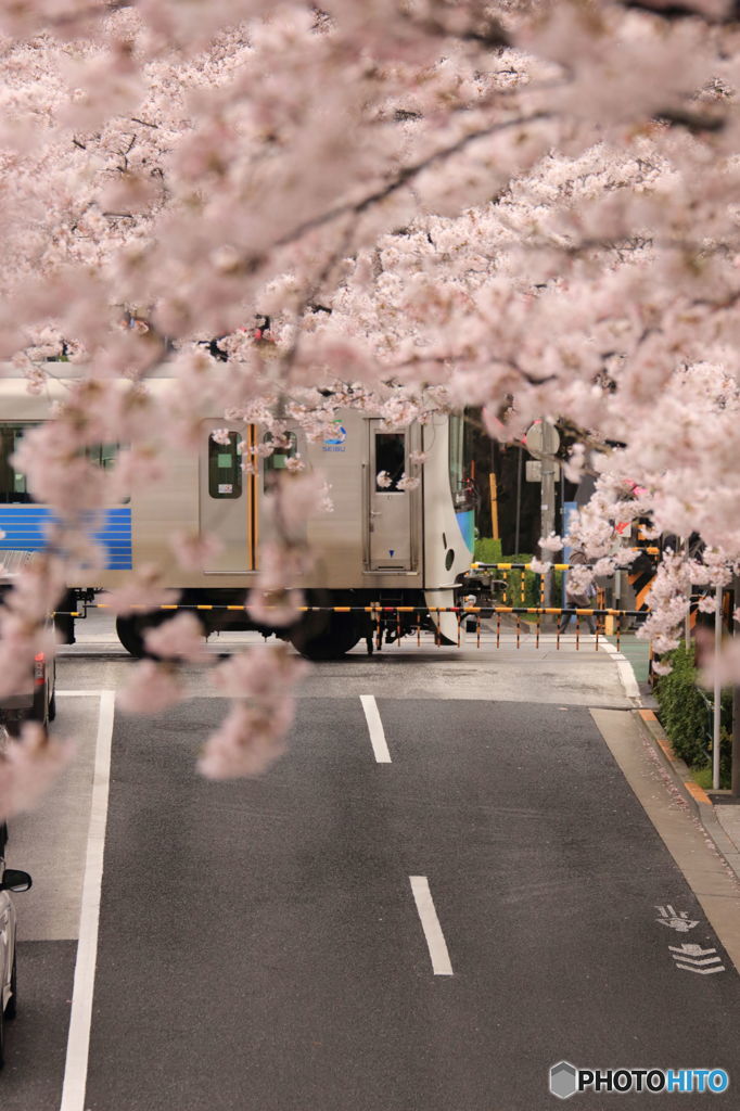 春風景2016 ⅳ