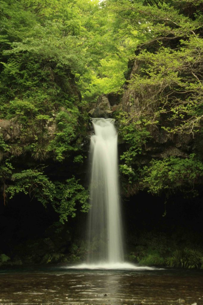 緑の中から一気にcooldown