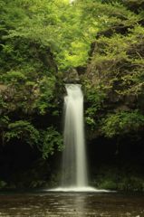 緑の中から一気にcooldown