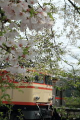 春　桜とともに