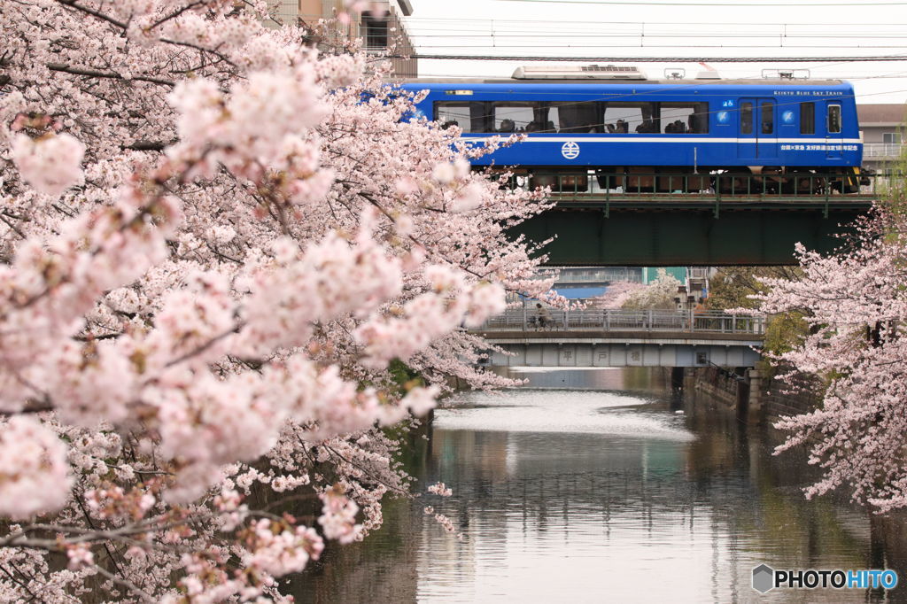 春風景2016 ⅱ