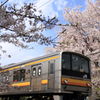 春模様と南武線