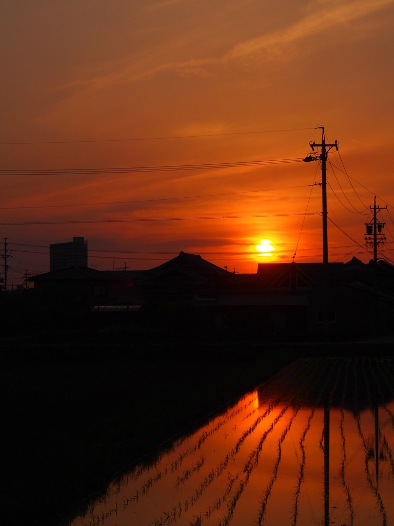 田舎の夕日