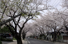 学舎への道