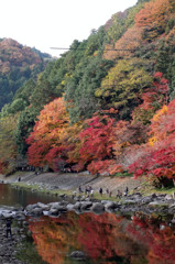 紅葉に集う