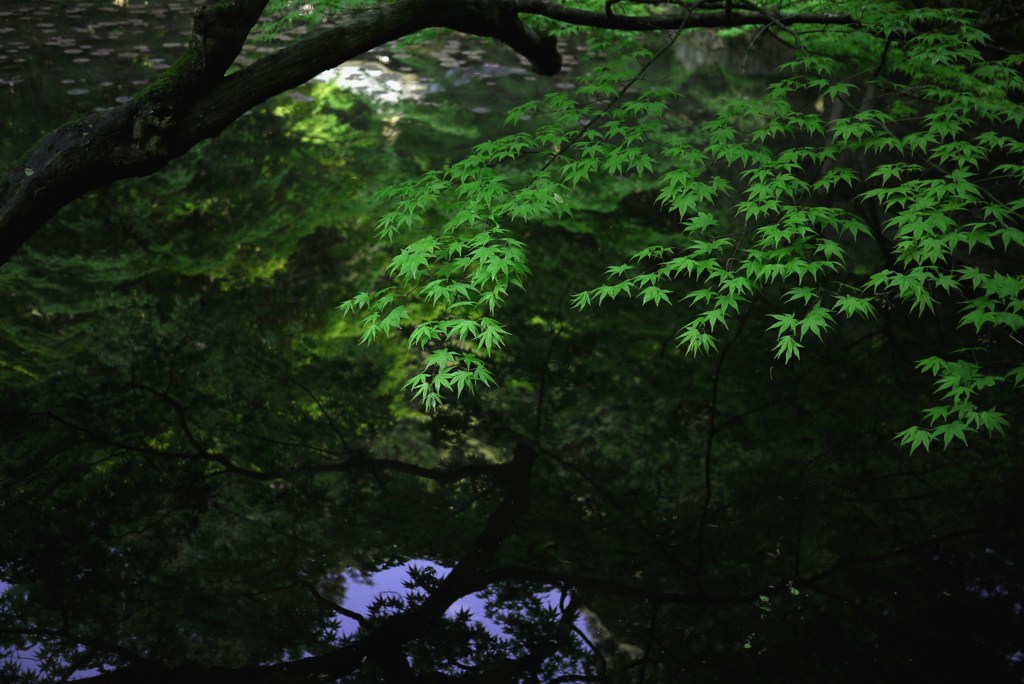 green is the colour　10