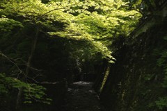 大原散歩　律川の流れ