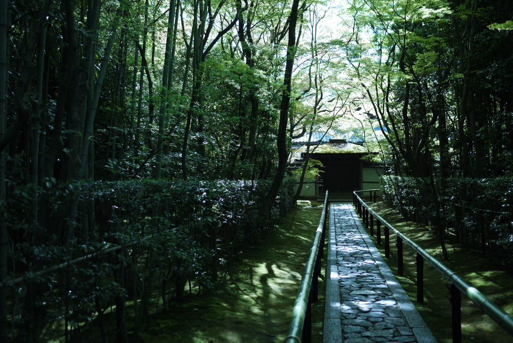 京都慕情　1