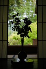 大原散歩　影花