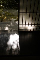 大徳寺　高桐院 1