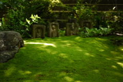 green is the colour 1