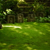 green is the colour 1