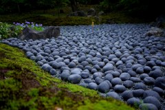 嵐山散歩　苦界に漂う