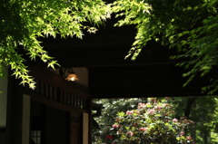 2011年昭和への旅 6