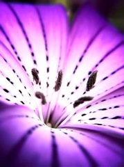 植物園にて