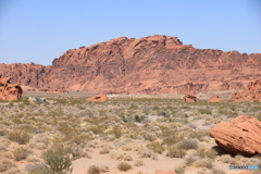 Petroglyph Canyon 1