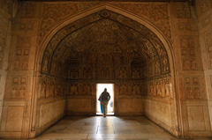 Agra Fort 2