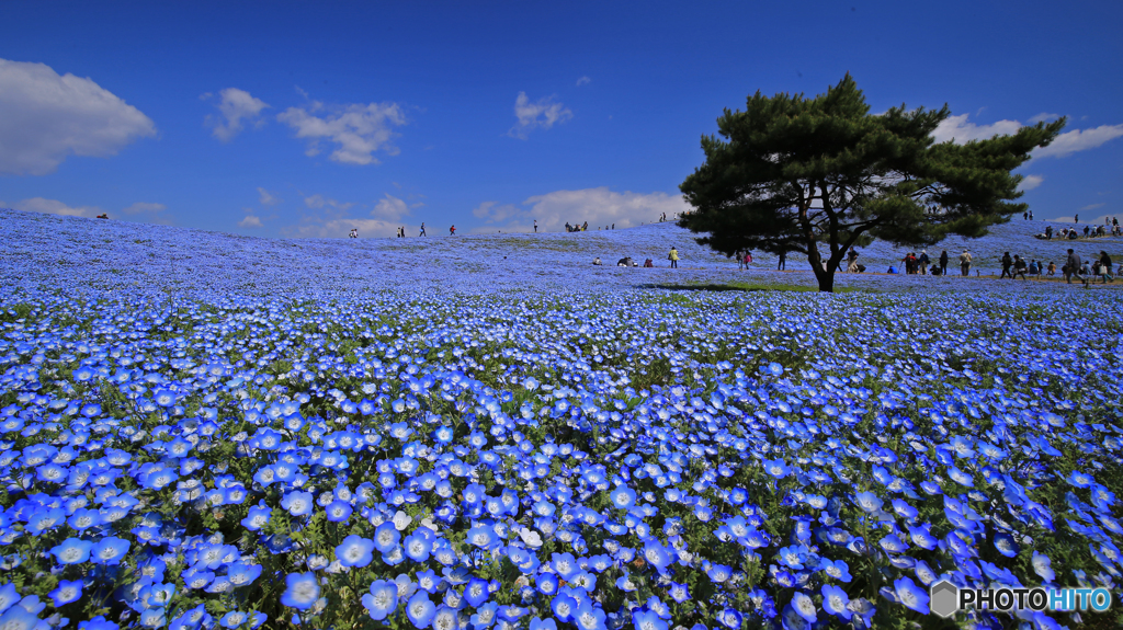 青の絶景Ⅰ