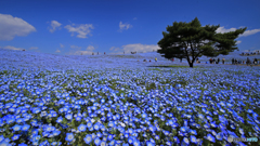 青の絶景Ⅰ