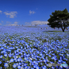 青の絶景Ⅰ