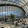 Sky Garden London 3
