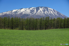 小岩井農場 1
