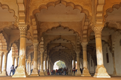 Agra Fort 3