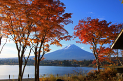 富士と紅葉