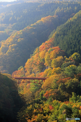 山田温泉