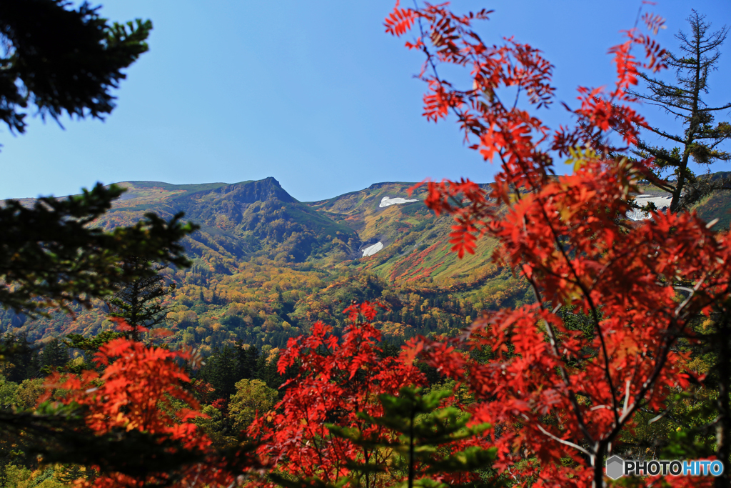 大雪山