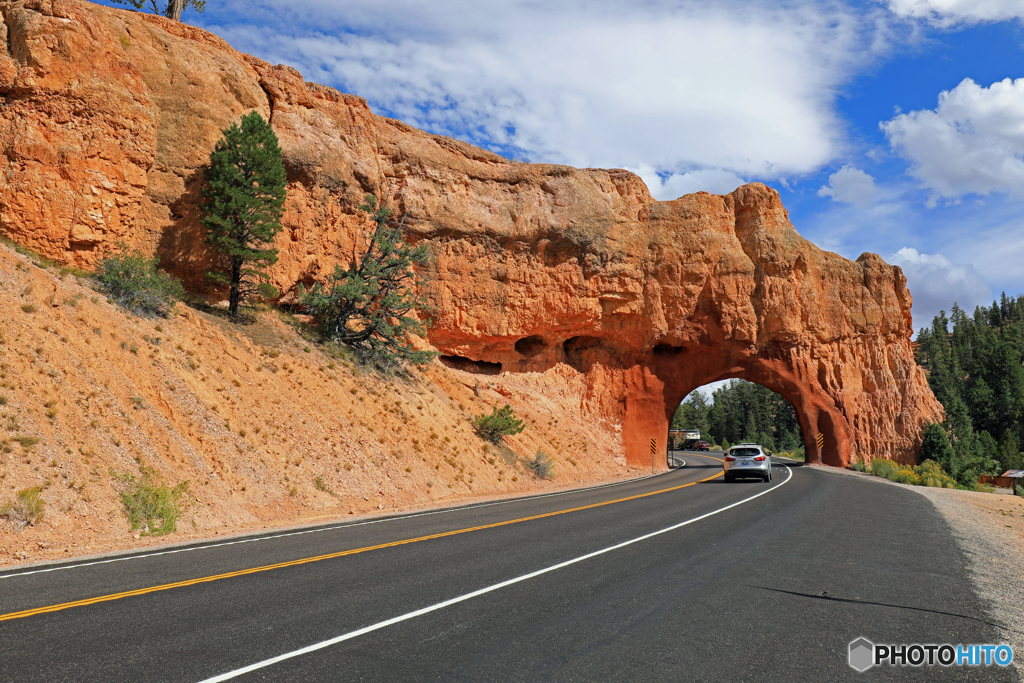 Red Canyon Arch