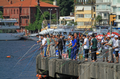 Bebek②