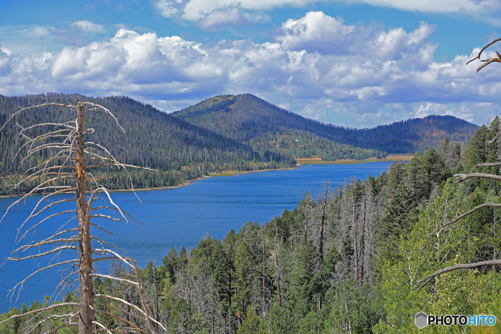 Navajo Lake