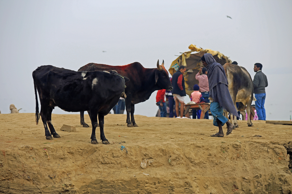 Varanasi 9