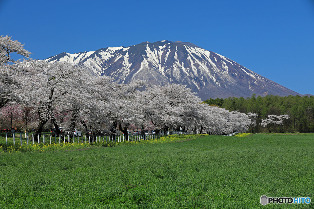 小岩井農場 2