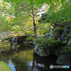 京都御所