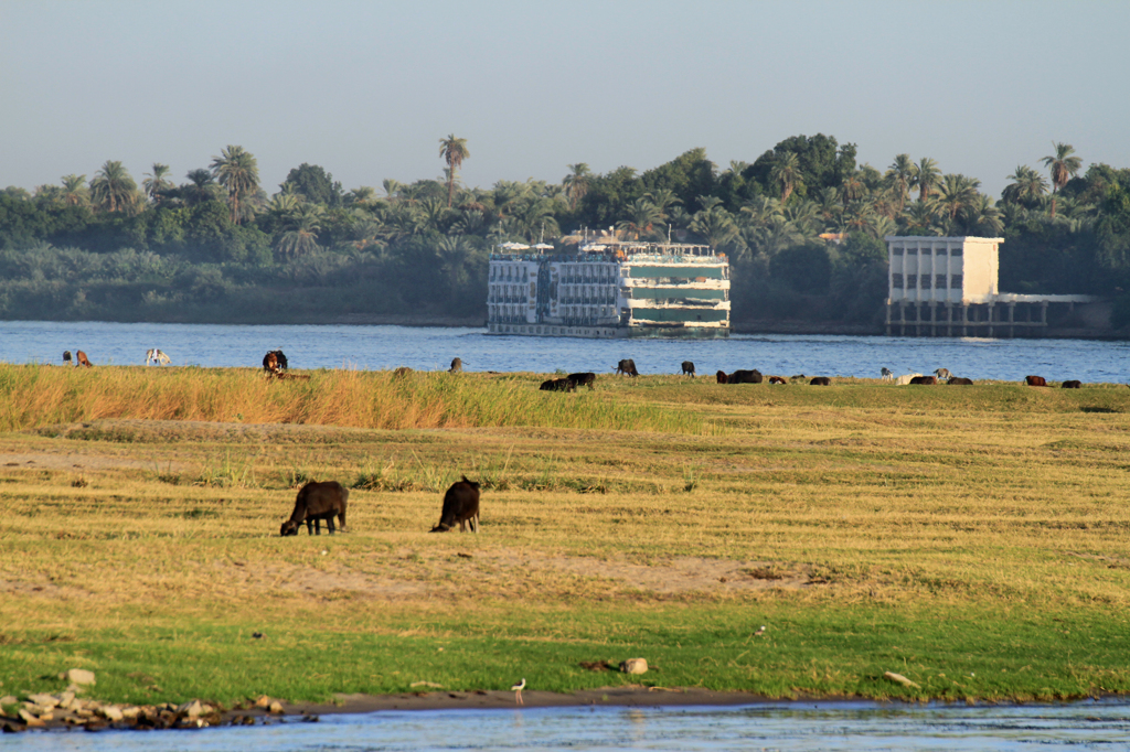 The Nile⑤