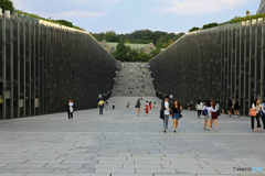 梨大女子大学
