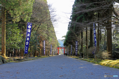 霧島神宮