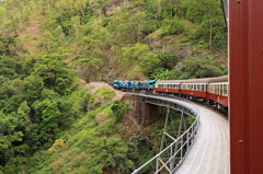 キュランダ鉄道③
