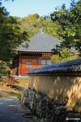 IMG_8465