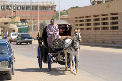 Aswan②