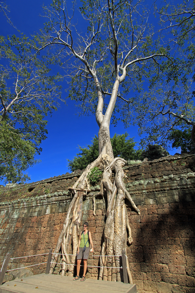 Ta Prohm②