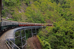 キュランダ鉄道④