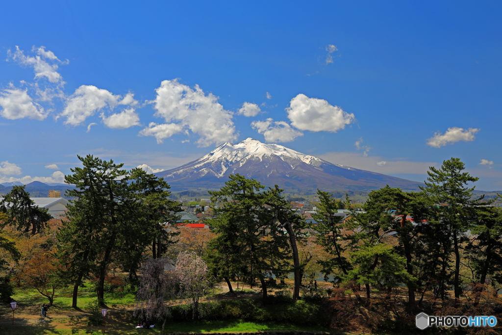 弘前城から岩木山を望む