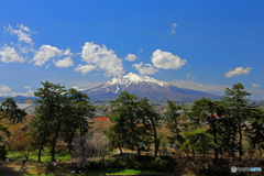 弘前城から岩木山を望む