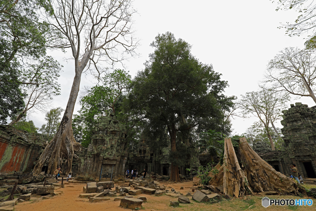 Ta Prohm 1